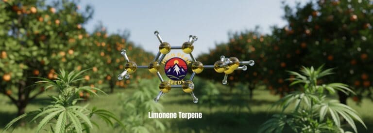 The Soul of the Strain: A Grower’s Guide to Terpenes
