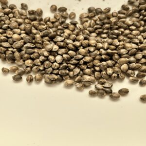 Blue Cherry Pebbles
