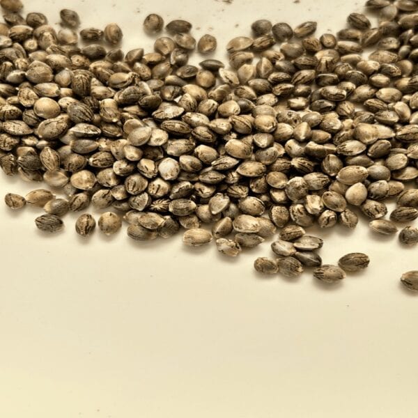 Blue Cherry Pebbles