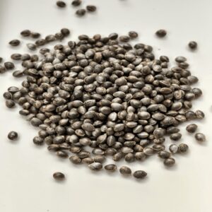 Hash Plant