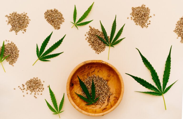 Regular vs. Feminized: Matching Your Seeds to Your Goals.